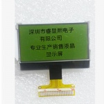 128X64 Dot Matrix LCD Industrial lcd monitor with green film